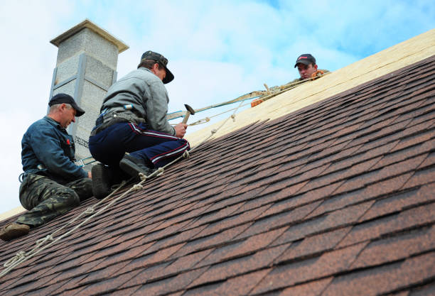 Quick and Trustworthy Emergency Roof Repair Services in Brownsville, TN