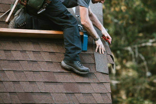 Best Storm Damage Roof Repair  in Brownsville, TN